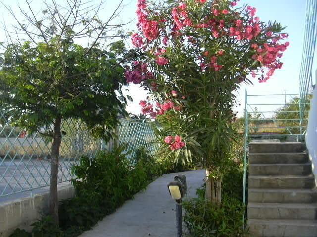 Acquamarina Bed & Breakfast